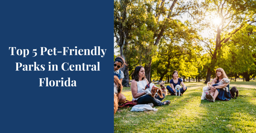 Top 5 Pet-Friendly Parks in Central Florida for You and Your Dog